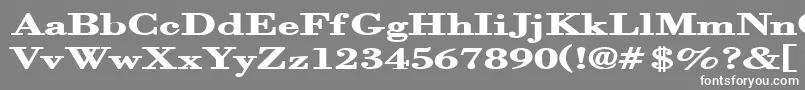 フォントOrgrexB – 灰色の背景に白い文字