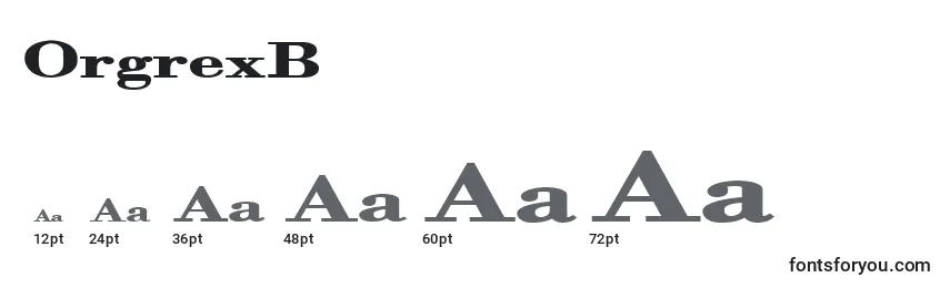 Größen der Schriftart OrgrexB