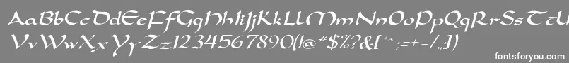 DorovarflfItalic Font – White Fonts on Gray Background