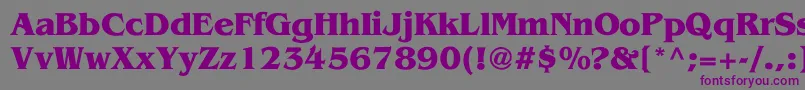 VientienBold-fontti – violetit fontit harmaalla taustalla