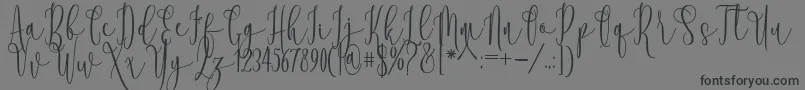 Rooster Font – Black Fonts on Gray Background