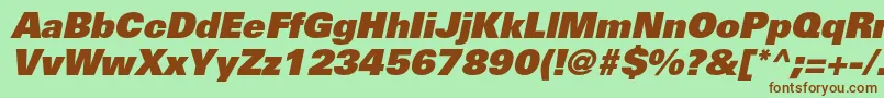 UniversltstdXblackobl Font – Brown Fonts on Green Background