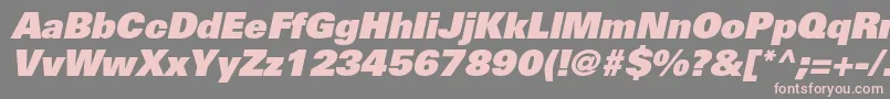 UniversltstdXblackobl Font – Pink Fonts on Gray Background