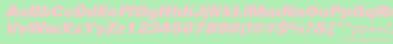 Czcionka UniversltstdXblackobl – różowe czcionki na zielonym tle
