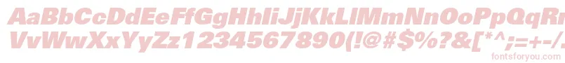 UniversltstdXblackobl Font – Pink Fonts on White Background