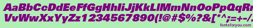 UniversltstdXblackobl Font – Purple Fonts on Green Background