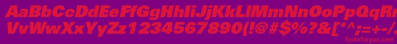 UniversltstdXblackobl Font – Red Fonts on Purple Background