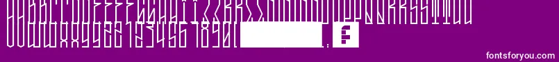 TallBoyWest Font – White Fonts on Purple Background