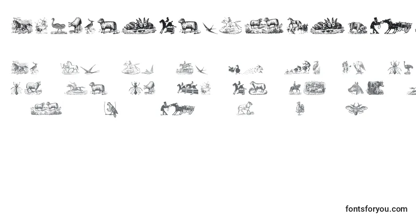 Schriftart AnimalsOldCutsTwo – Alphabet, Zahlen, spezielle Symbole