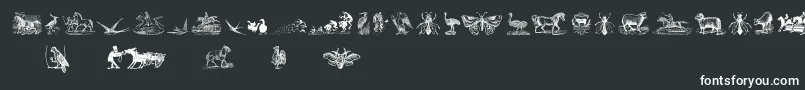 Шрифт AnimalsOldCutsTwo – белые шрифты на чёрном фоне