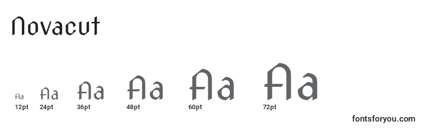 Novacut Font Sizes