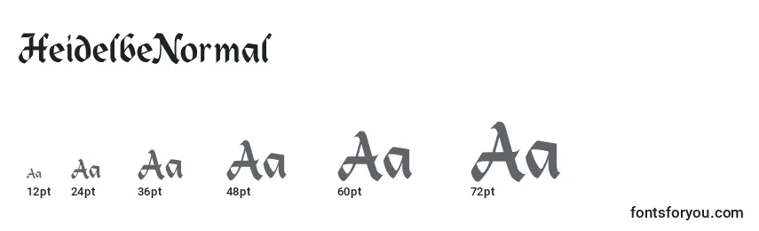 HeidelbeNormal Font Sizes