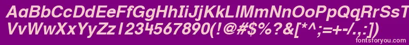 HelveticaTextbookLtBoldobl Font – Pink Fonts on Purple Background