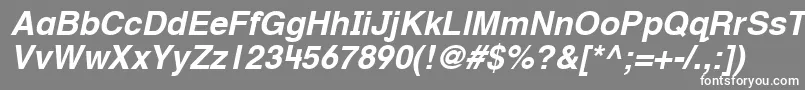 HelveticaTextbookLtBoldobl Font – White Fonts on Gray Background