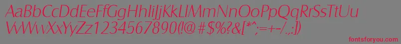 SalzburgXlightita Font – Red Fonts on Gray Background