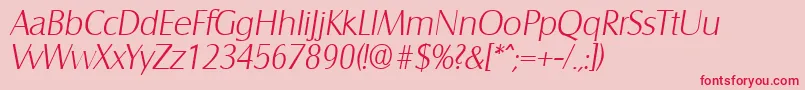 SalzburgXlightita Font – Red Fonts on Pink Background
