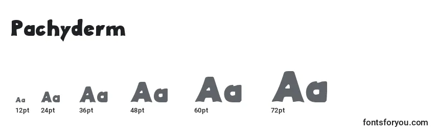 Pachyderm Font Sizes