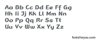 Обзор шрифта LinotypeRanaBold