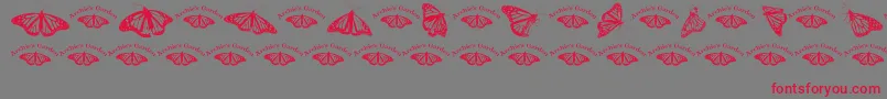 Wlroyalflutterdingbats Font – Red Fonts on Gray Background
