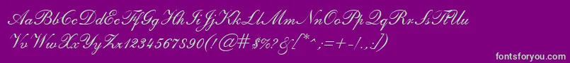 SheerBeautyRegular Font – Green Fonts on Purple Background
