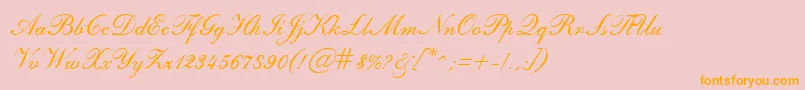 Police SheerBeautyRegular – polices orange sur fond rose