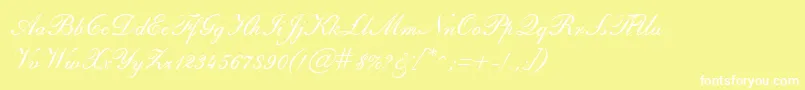 SheerBeautyRegular Font – White Fonts on Yellow Background