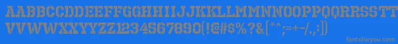 OctinprisonrgBold Font – Gray Fonts on Blue Background