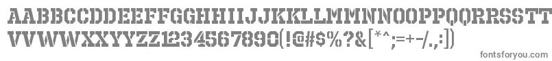 OctinprisonrgBold Font – Gray Fonts