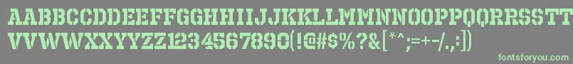 OctinprisonrgBold Font – Green Fonts on Gray Background