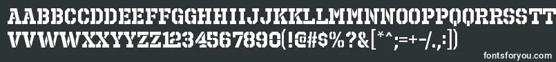 OctinprisonrgBold-fontti – valkoiset fontit mustalla taustalla