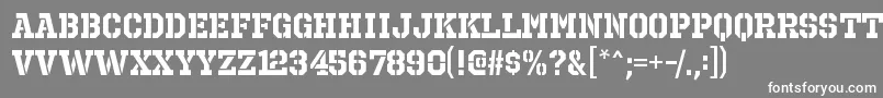 フォントOctinprisonrgBold – 灰色の背景に白い文字