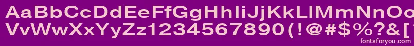 NtharmonicaBold130b Font – Pink Fonts on Purple Background