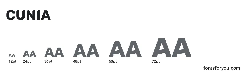 Размеры шрифта Cunia