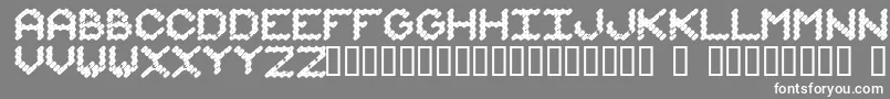 フォントIammonot – 灰色の背景に白い文字