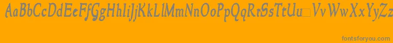 NewstylecondensedBoldItalic Font – Gray Fonts on Orange Background