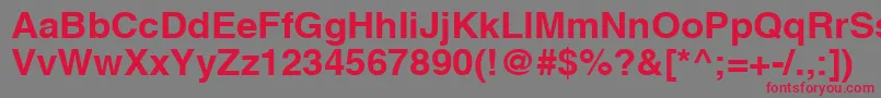 AghlvcyrillicBold105b Font – Red Fonts on Gray Background