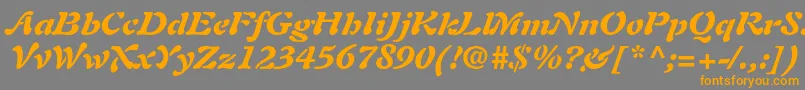 フォントAuriolltstdBlackitalic – オレンジの文字は灰色の背景にあります。