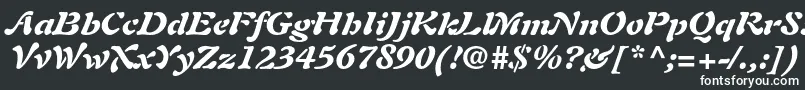 フォントAuriolltstdBlackitalic – 白い文字