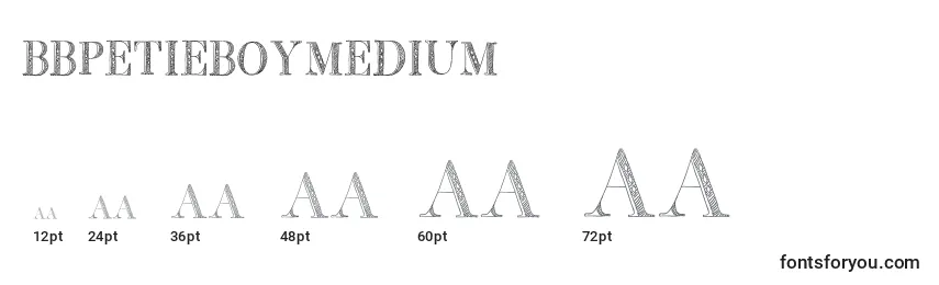 Размеры шрифта BbPetieBoyMedium