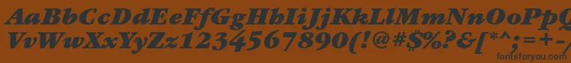 GaramondbookettBolditalic Font – Black Fonts on Brown Background