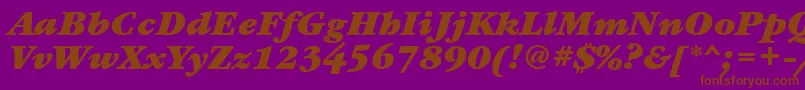 GaramondbookettBolditalic Font – Brown Fonts on Purple Background