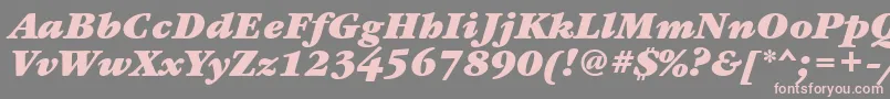 GaramondbookettBolditalic Font – Pink Fonts on Gray Background