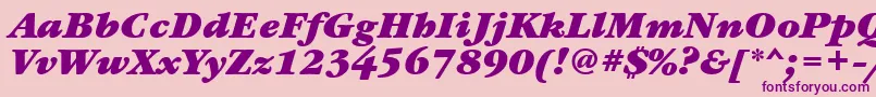 GaramondbookettBolditalic Font – Purple Fonts on Pink Background