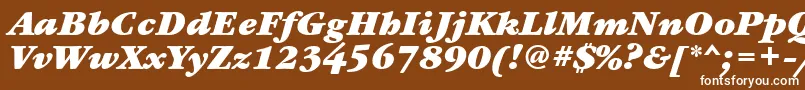 Шрифт GaramondbookettBolditalic – белые шрифты на коричневом фоне