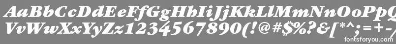 フォントGaramondbookettBolditalic – 灰色の背景に白い文字