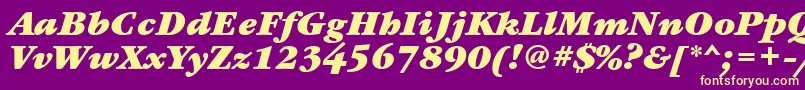 GaramondbookettBolditalic Font – Yellow Fonts on Purple Background