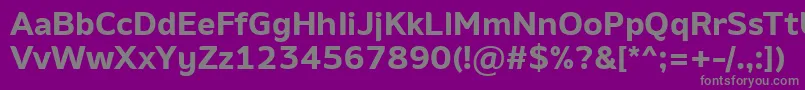 AminoBold-Schriftart – Graue Schriften auf violettem Hintergrund