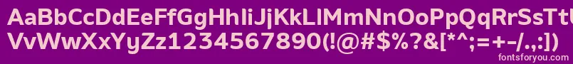 AminoBold Font – Pink Fonts on Purple Background