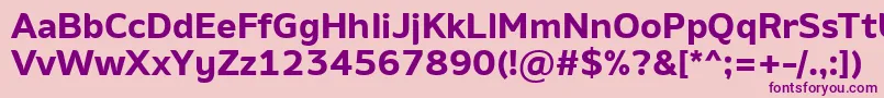 AminoBold Font – Purple Fonts on Pink Background