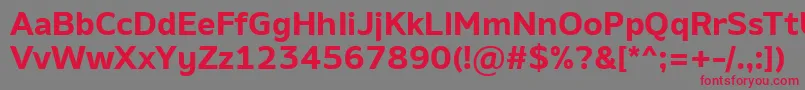 AminoBold-Schriftart – Rote Schriften auf grauem Hintergrund